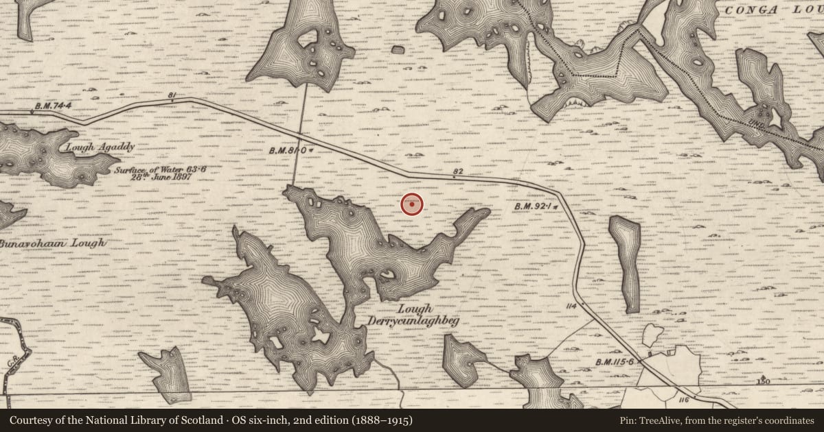 Ordnance Survey six-inch map, 2nd edition (1888–1915) covering the location of Road - class 3 togher, Derrycunlagh, County Galway, with a pin at the register's coordinates