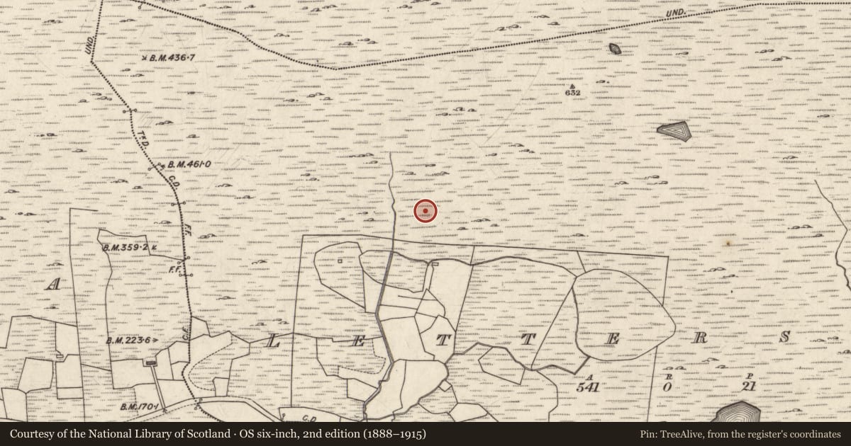 Ordnance Survey six-inch map, 2nd edition (1888–1915) covering the location of Cist, Leitir Seithe, County Galway, with a pin at the register's coordinates