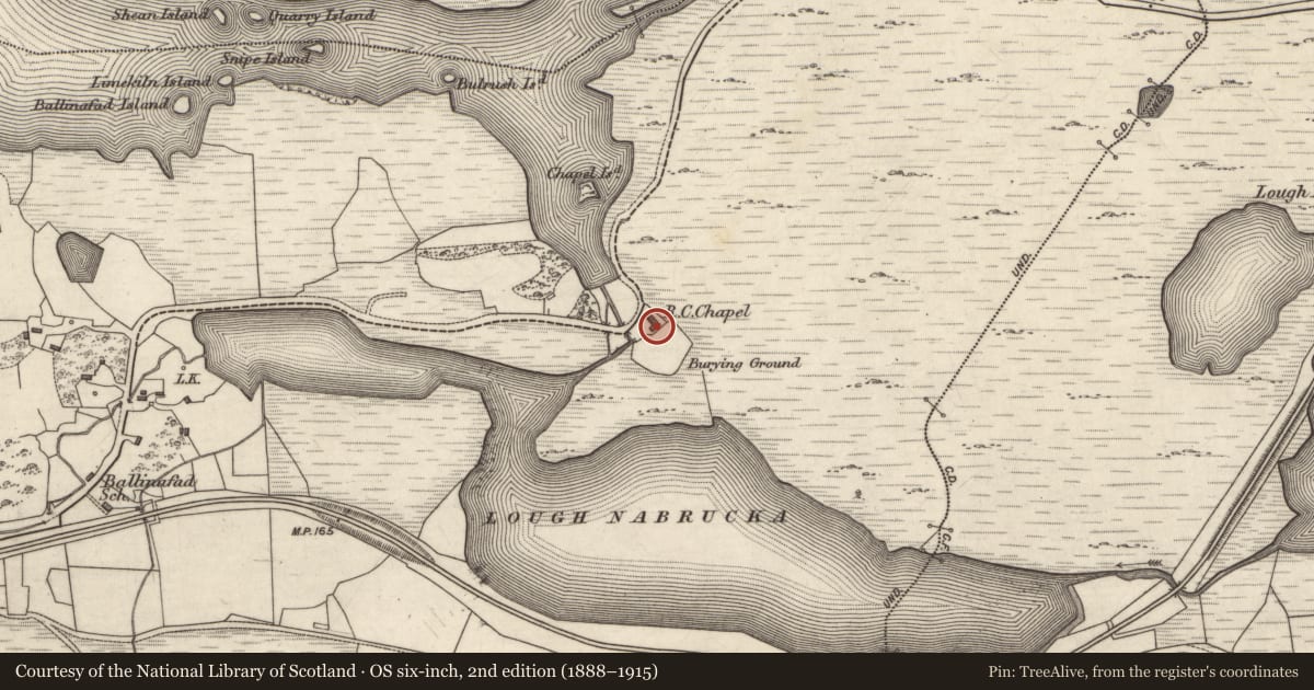 Ordnance Survey six-inch map, 2nd edition (1888–1915) covering the location of Church, Ballinafad, County Galway, with a pin at the register's coordinates