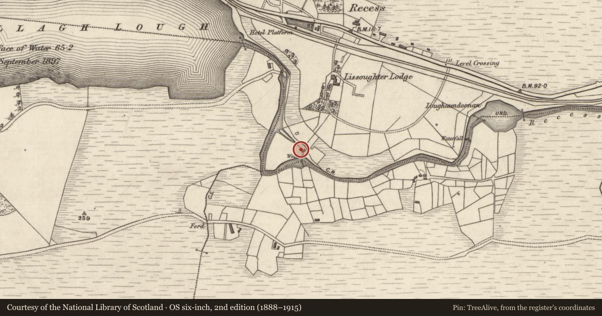 Ordnance Survey six-inch map, 2nd edition (1888–1915) covering the location of Water mill - unclassified, Lios Uachtair, County Galway, with a pin at the register's coordinates