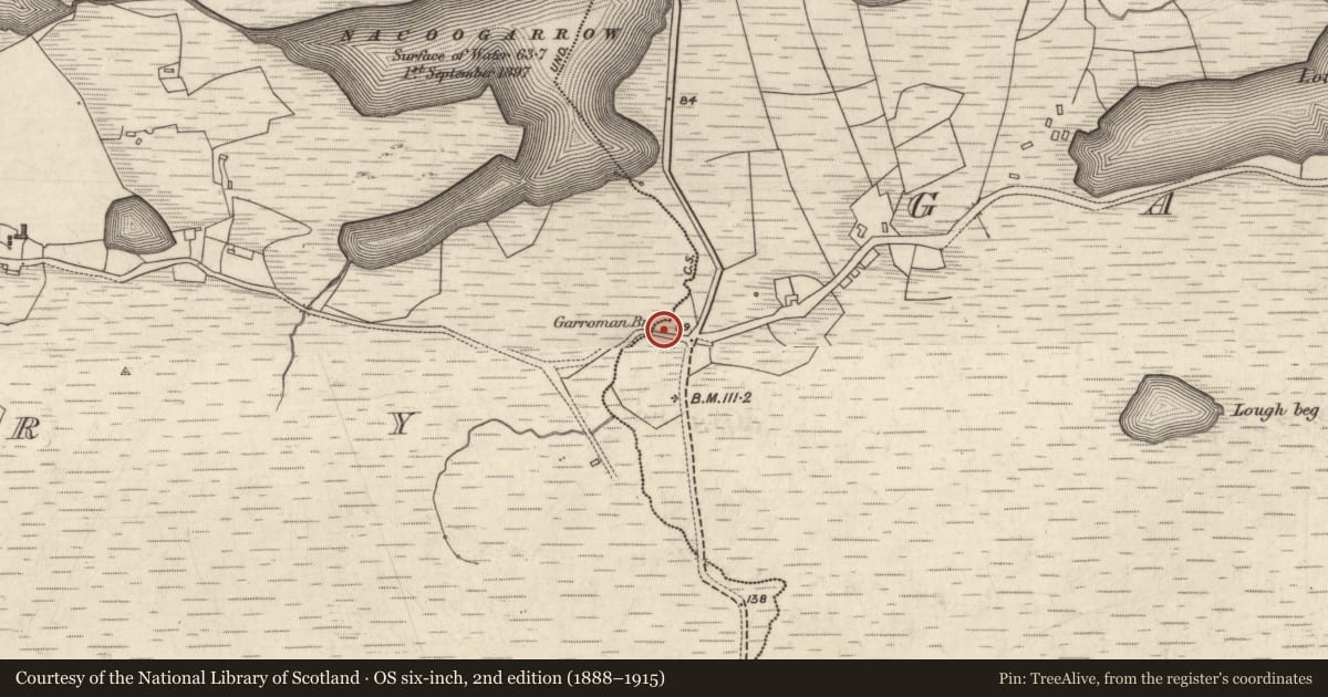 Ordnance Survey six-inch map, 2nd edition (1888–1915) covering the location of Bridge, An Gharmain, Athry, County Galway, with a pin at the register's coordinates