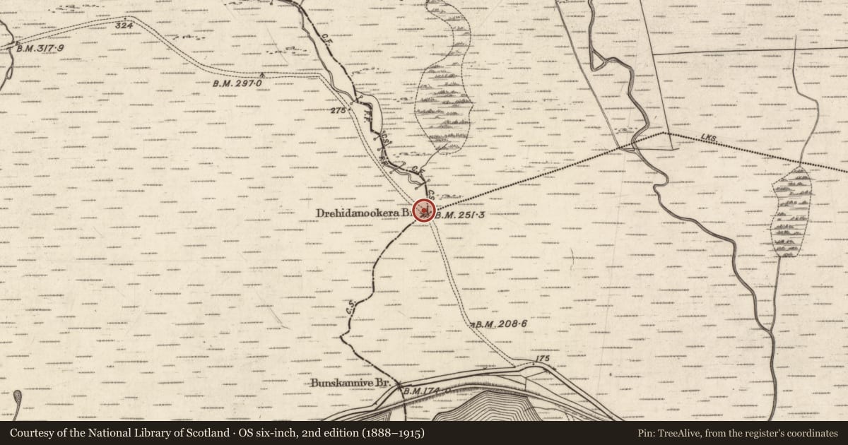 Ordnance Survey six-inch map, 2nd edition (1888–1915) covering the location of Bridge, Bunscanniff, Seanadh Chaola, County Galway, with a pin at the register's coordinates