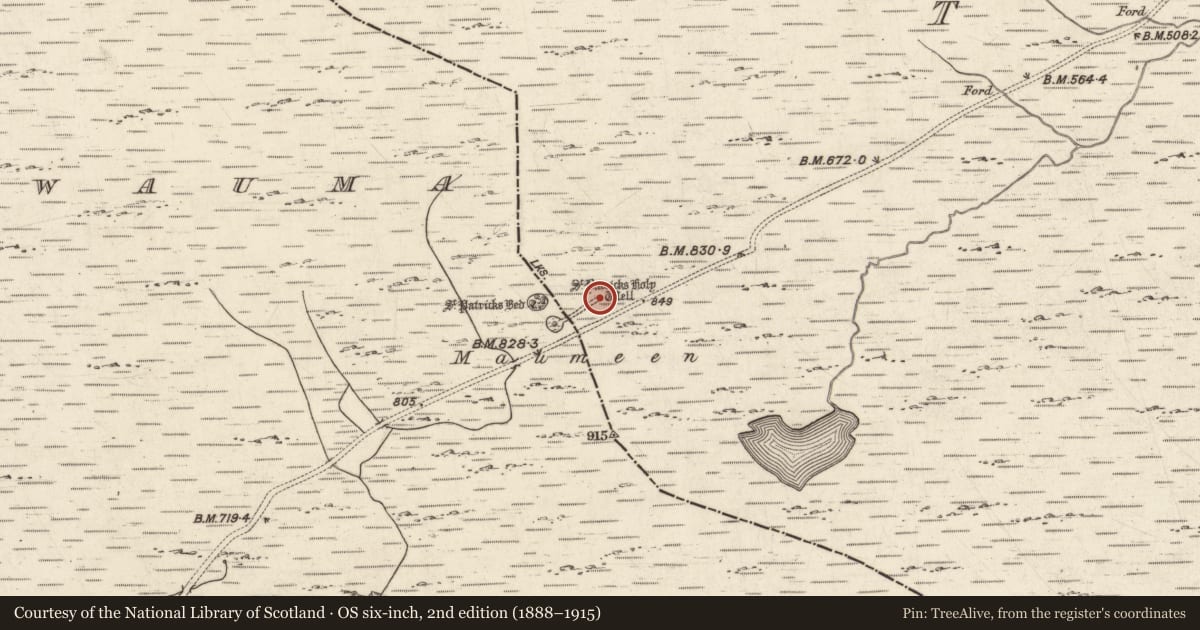 Ordnance Survey six-inch map, 2nd edition (1888–1915) covering the location of Ritual site - holy well, Tír Na Cille Theas, County Galway, with a pin at the register's coordinates