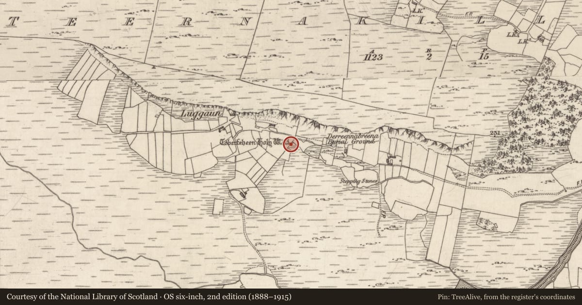 Ordnance Survey six-inch map, 2nd edition (1888–1915) covering the location of Ritual site - holy well, Teernakill North, County Galway, with a pin at the register's coordinates