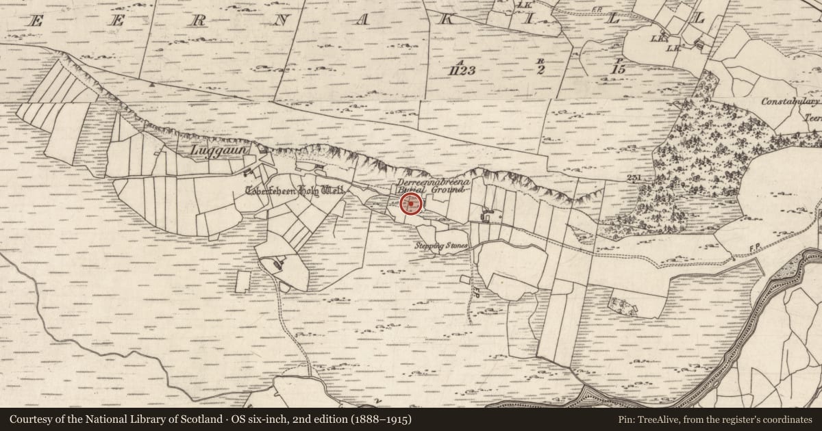 Ordnance Survey six-inch map, 2nd edition (1888–1915) covering the location of Children's burial ground, Teernakill North, County Galway, with a pin at the register's coordinates