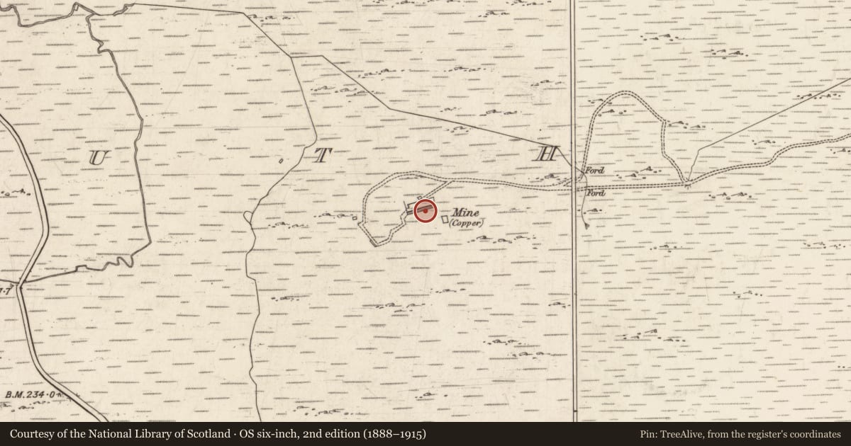 Ordnance Survey six-inch map, 2nd edition (1888–1915) covering the location of Mine, Tír Na Cille Theas, County Galway, with a pin at the register's coordinates