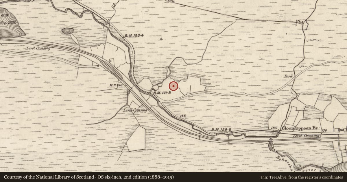 Ordnance Survey six-inch map, 2nd edition (1888–1915) covering the location of Stone row, Boheeshal, County Galway, with a pin at the register's coordinates