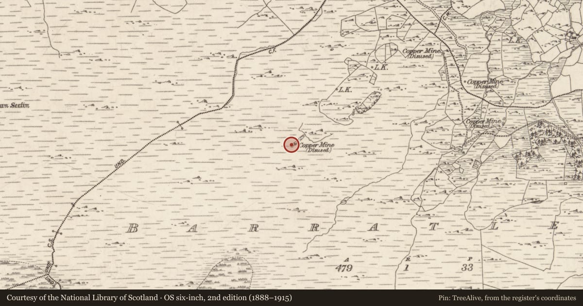 Ordnance Survey six-inch map, 2nd edition (1888–1915) covering the location of Mine - copper, Barratleva, County Galway, with a pin at the register's coordinates