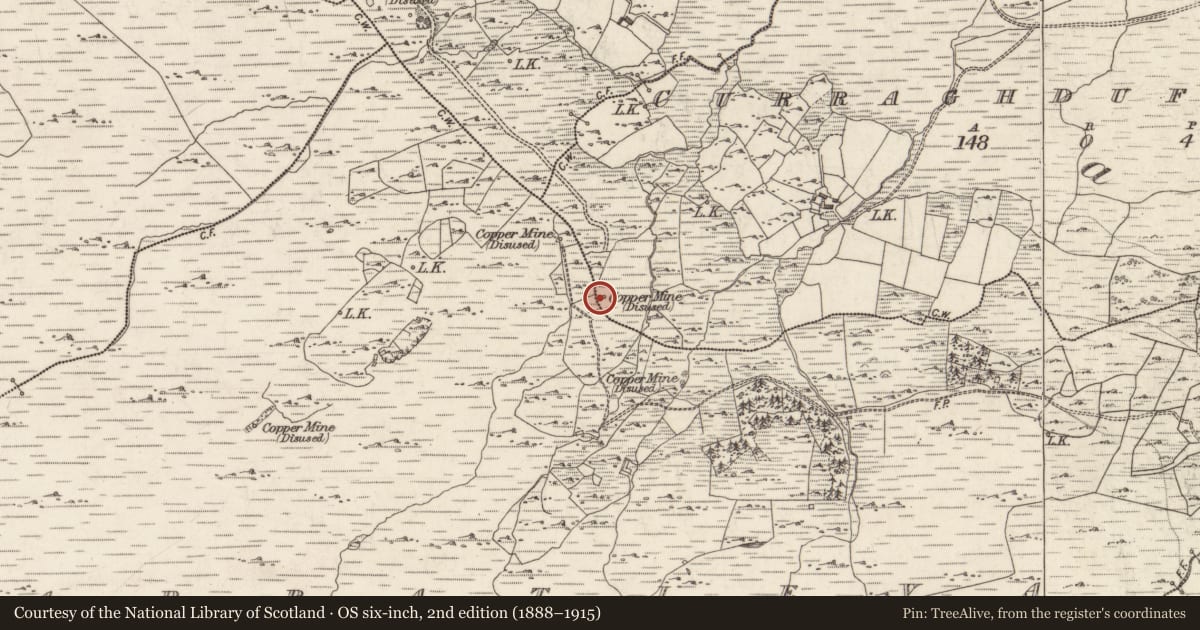 Ordnance Survey six-inch map, 2nd edition (1888–1915) covering the location of Mine - copper, Curraghduff East, County Galway, with a pin at the register's coordinates