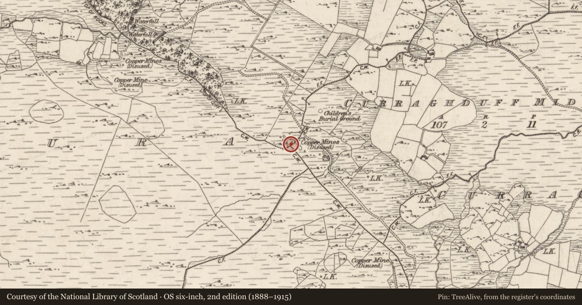 Ordnance Survey six-inch map, 2nd edition (1888–1915) covering the location of Mine - copper, Curraghduff Middle, Curraghduff West, County Galway, with a pin at the register's coordinates