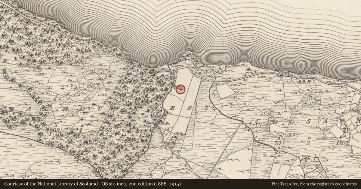 Ordnance Survey six-inch map, 2nd edition (1888–1915) covering the location of Kiln - lime, Curraghduff West, County Galway, with a pin at the register's coordinates