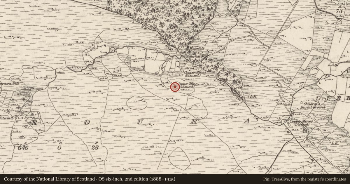 Ordnance Survey six-inch map, 2nd edition (1888–1915) covering the location of Mine - copper, Derroura, County Galway, with a pin at the register's coordinates