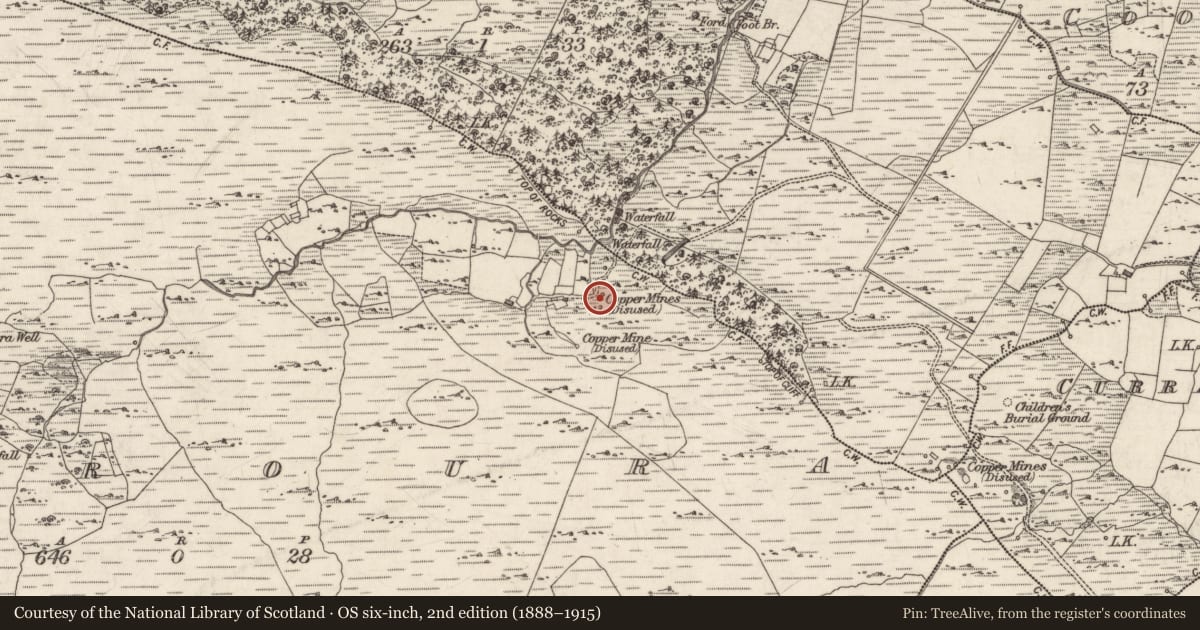Ordnance Survey six-inch map, 2nd edition (1888–1915) covering the location of Mine - copper, Derroura, County Galway, with a pin at the register's coordinates