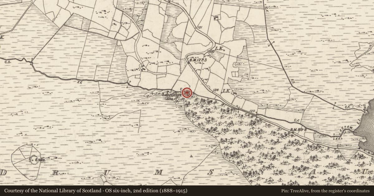 Ordnance Survey six-inch map, 2nd edition (1888–1915) covering the location of Children's burial ground, Droim Snámha, County Galway, with a pin at the register's coordinates