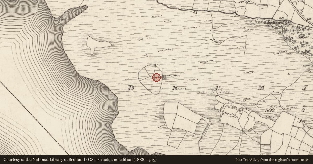 Ordnance Survey six-inch map, 2nd edition (1888–1915) covering the location of Ringfort - rath, Droim Snámha, County Galway, with a pin at the register's coordinates
