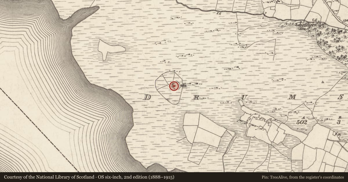 Ordnance Survey six-inch map, 2nd edition (1888–1915) covering the location of Souterrain, Droim Snámha, County Galway, with a pin at the register's coordinates