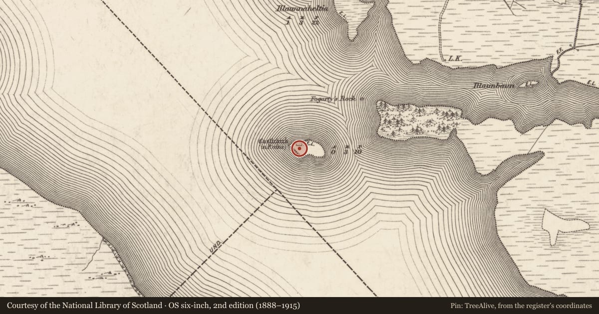 Ordnance Survey six-inch map, 2nd edition (1888–1915) covering the location of Castle - hall-house, Lough Corrib, County Galway, with a pin at the register's coordinates