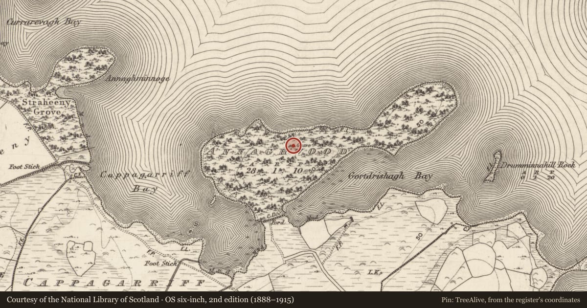Ordnance Survey six-inch map, 2nd edition (1888–1915) covering the location of Burial, Annaghwood, County Galway, with a pin at the register's coordinates