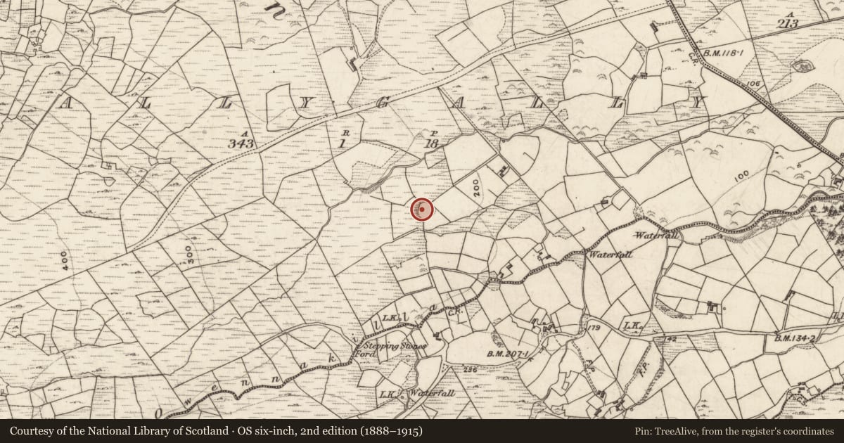 Ordnance Survey six-inch map, 2nd edition (1888–1915) covering the location of Enclosure, Ballygally, County Galway, with a pin at the register's coordinates