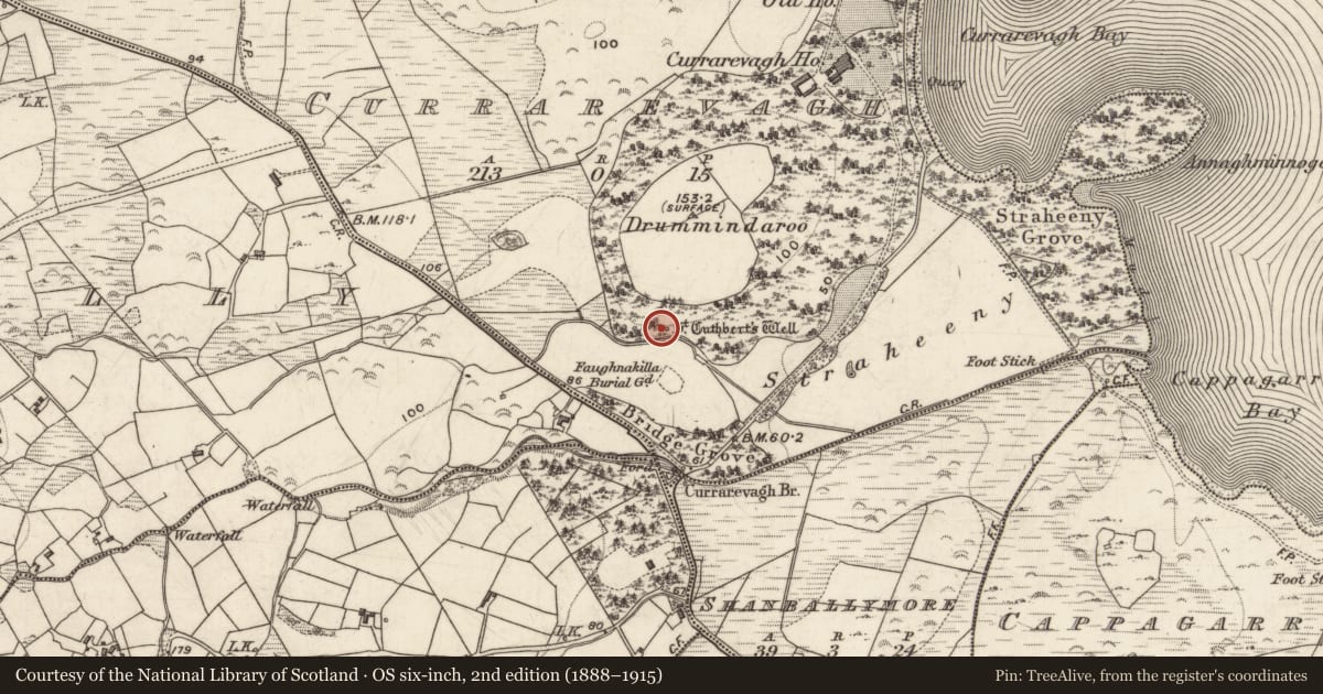 Ordnance Survey six-inch map, 2nd edition (1888–1915) covering the location of Ritual site - holy well, An Chorr Riabhach, County Galway, with a pin at the register's coordinates