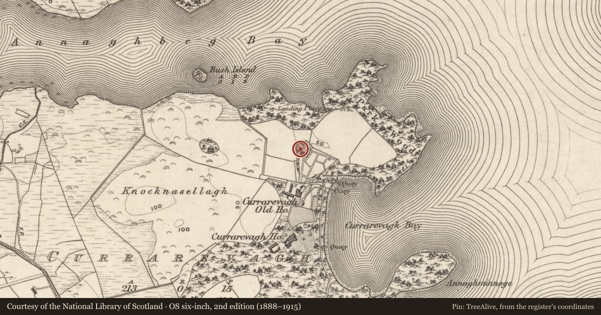 Ordnance Survey six-inch map, 2nd edition (1888–1915) covering the location of Designed landscape feature, An Chorr Riabhach, County Galway, with a pin at the register's coordinates
