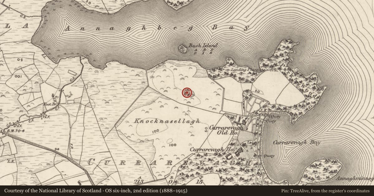 Ordnance Survey six-inch map, 2nd edition (1888–1915) covering the location of Designed landscape feature, An Chorr Riabhach, County Galway, with a pin at the register's coordinates