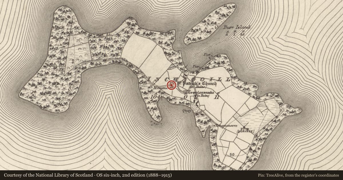 Ordnance Survey six-inch map, 2nd edition (1888–1915) covering the location of Cross-inscribed pillar, Inchagoill, County Galway, with a pin at the register's coordinates