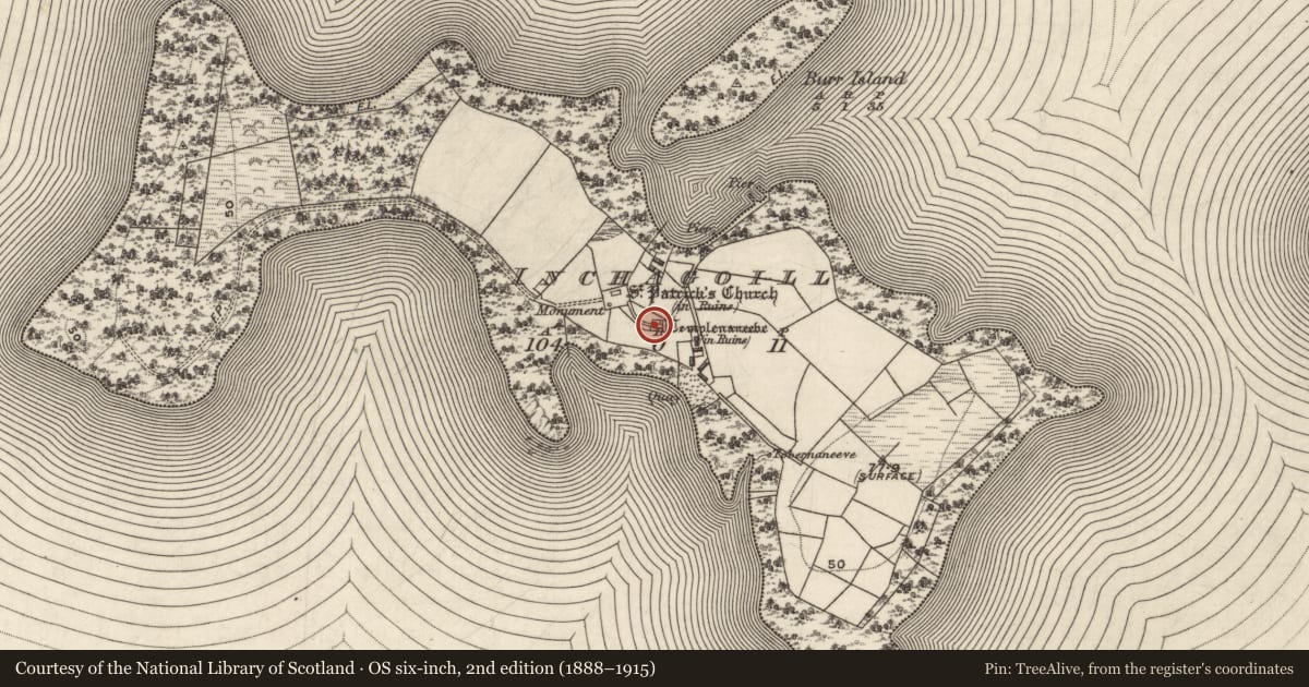 Ordnance Survey six-inch map, 2nd edition (1888–1915) covering the location of Bullaun stone, Inchagoill, County Galway, with a pin at the register's coordinates