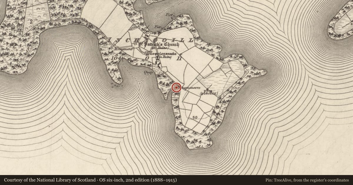 Ordnance Survey six-inch map, 2nd edition (1888–1915) covering the location of Ritual site - holy well, Inchagoill, County Galway, with a pin at the register's coordinates