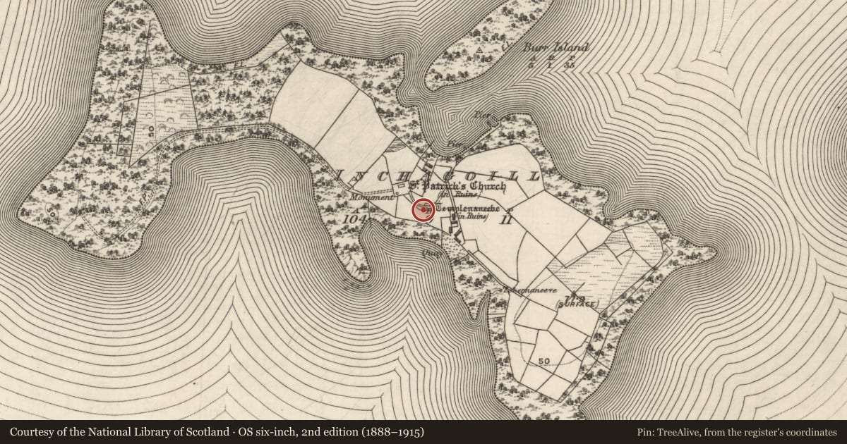 Ordnance Survey six-inch map, 2nd edition (1888–1915) covering the location of Cross-inscribed stone, Inchagoill, County Galway, with a pin at the register's coordinates