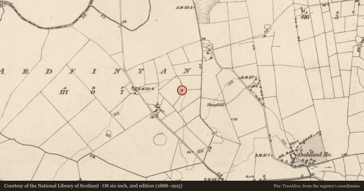 Ordnance Survey six-inch map, 2nd edition (1888–1915) covering the location of Children's burial ground, Ardfintan, County Galway, with a pin at the register's coordinates