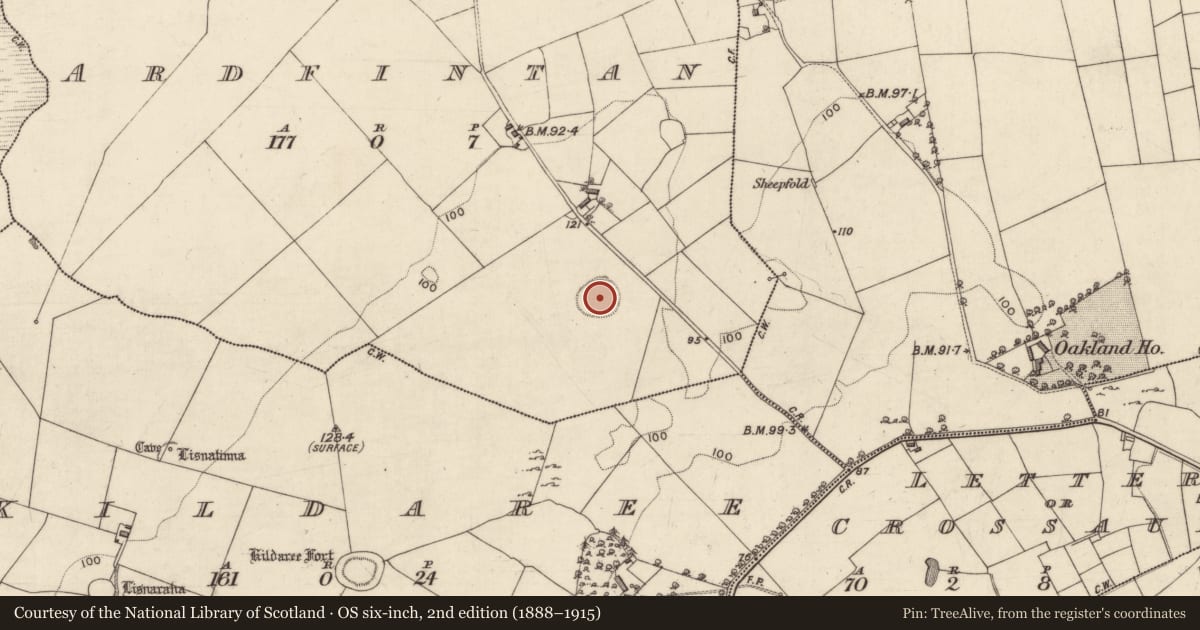 Ordnance Survey six-inch map, 2nd edition (1888–1915) covering the location of Enclosure, Ardfintan, County Galway, with a pin at the register's coordinates