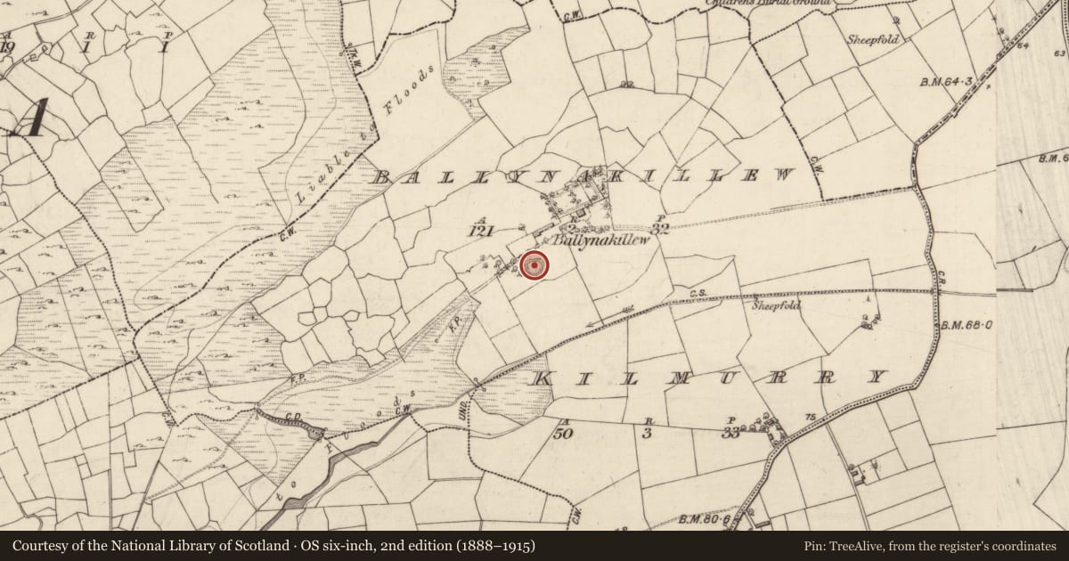 Ordnance Survey six-inch map, 2nd edition (1888–1915) covering the location of Ringfort - unclassified, Ballynakillew, County Galway, with a pin at the register's coordinates