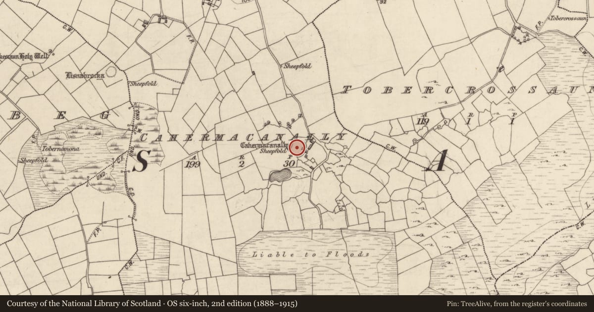 Ordnance Survey six-inch map, 2nd edition (1888–1915) covering the location of Ringfort - rath, Cahermacanally, County Galway, with a pin at the register's coordinates