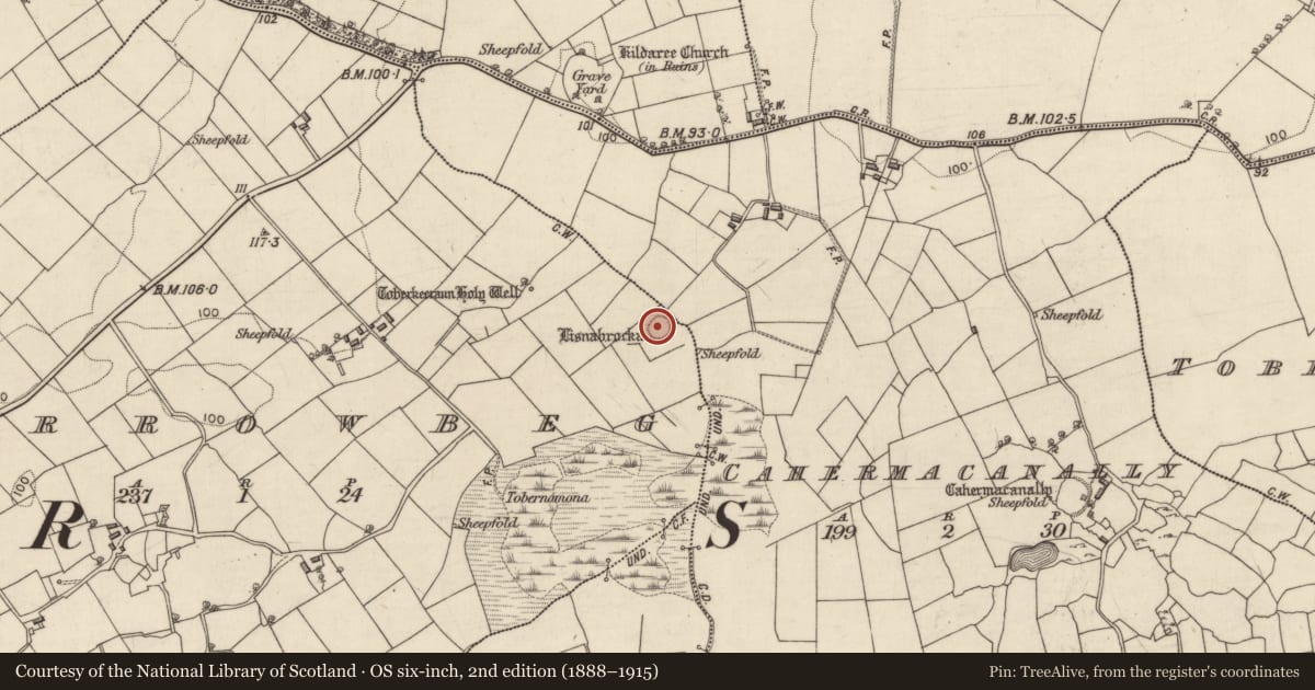 Ordnance Survey six-inch map, 2nd edition (1888–1915) covering the location of Ringfort - cashel, Carrowbeg, County Galway, with a pin at the register's coordinates