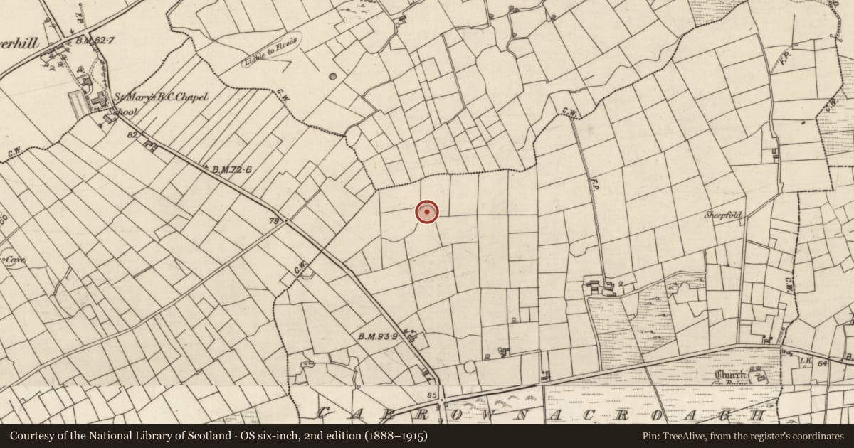 Ordnance Survey six-inch map, 2nd edition (1888–1915) covering the location of Enclosure, Carrownacroagh, County Galway, with a pin at the register's coordinates