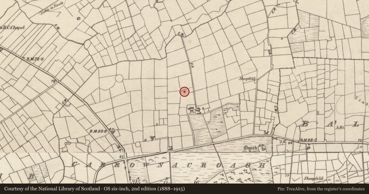 Ordnance Survey six-inch map, 2nd edition (1888–1915) covering the location of Ringfort - cashel, Carrownacroagh, County Galway, with a pin at the register's coordinates