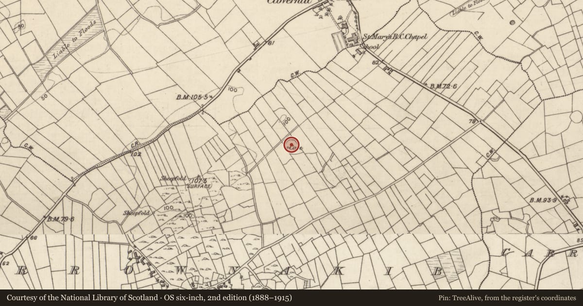 Ordnance Survey six-inch map, 2nd edition (1888–1915) covering the location of Ringfort - rath, Carrownakib, County Galway, with a pin at the register's coordinates