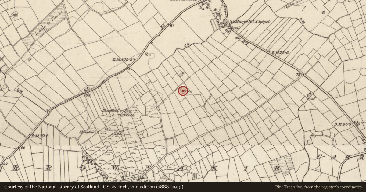 Ordnance Survey six-inch map, 2nd edition (1888–1915) covering the location of Souterrain, Carrownakib, County Galway, with a pin at the register's coordinates