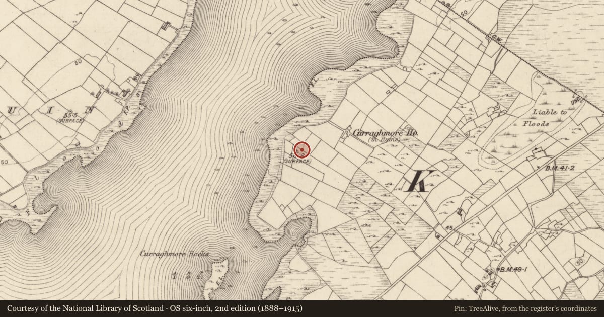 Ordnance Survey six-inch map, 2nd edition (1888–1915) covering the location of Ringfort - unclassified, Curraghmore, County Galway, with a pin at the register's coordinates