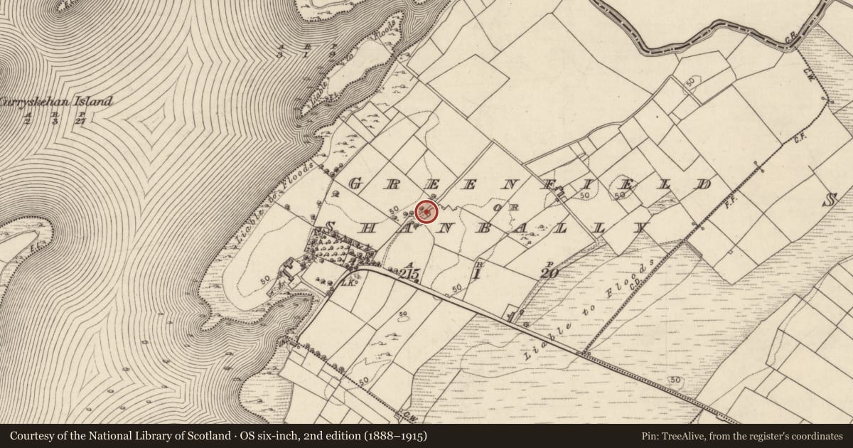 Ordnance Survey six-inch map, 2nd edition (1888–1915) covering the location of Settlement cluster, Greenfield Or Shanbally, County Galway, with a pin at the register's coordinates