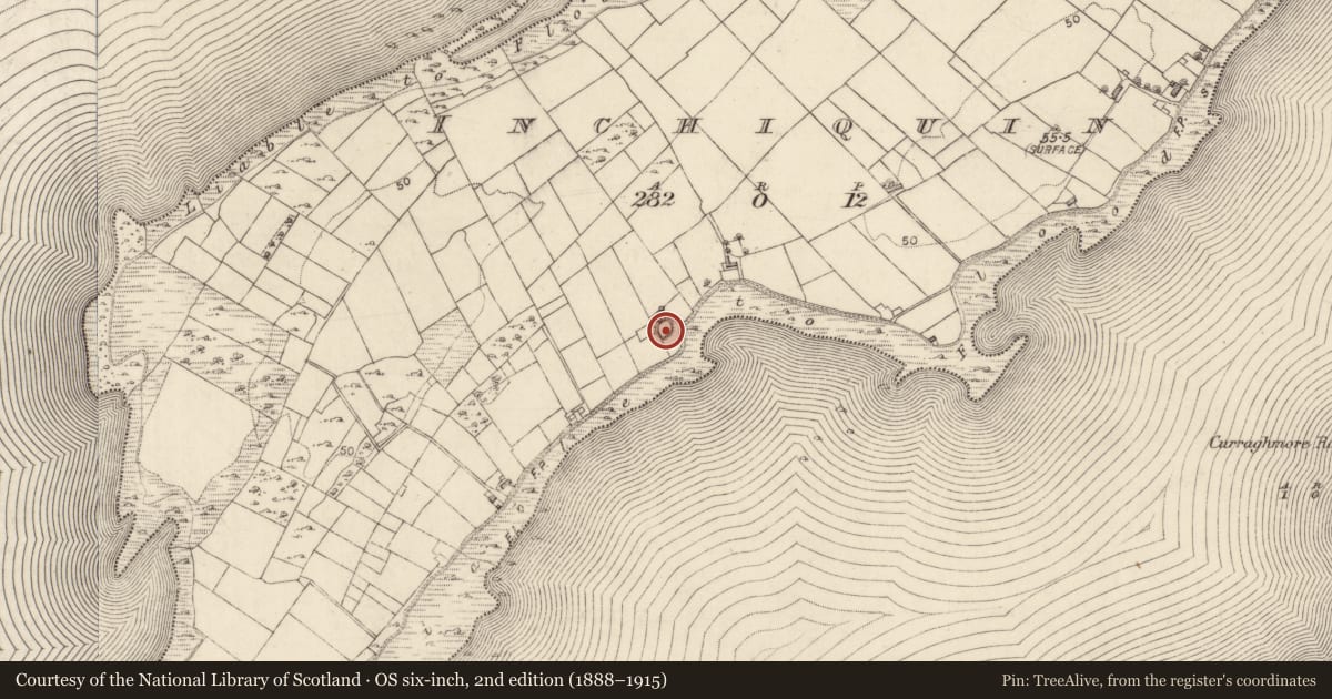 Ordnance Survey six-inch map, 2nd edition (1888–1915) covering the location of Children's burial ground, Inchiquin, County Galway, with a pin at the register's coordinates