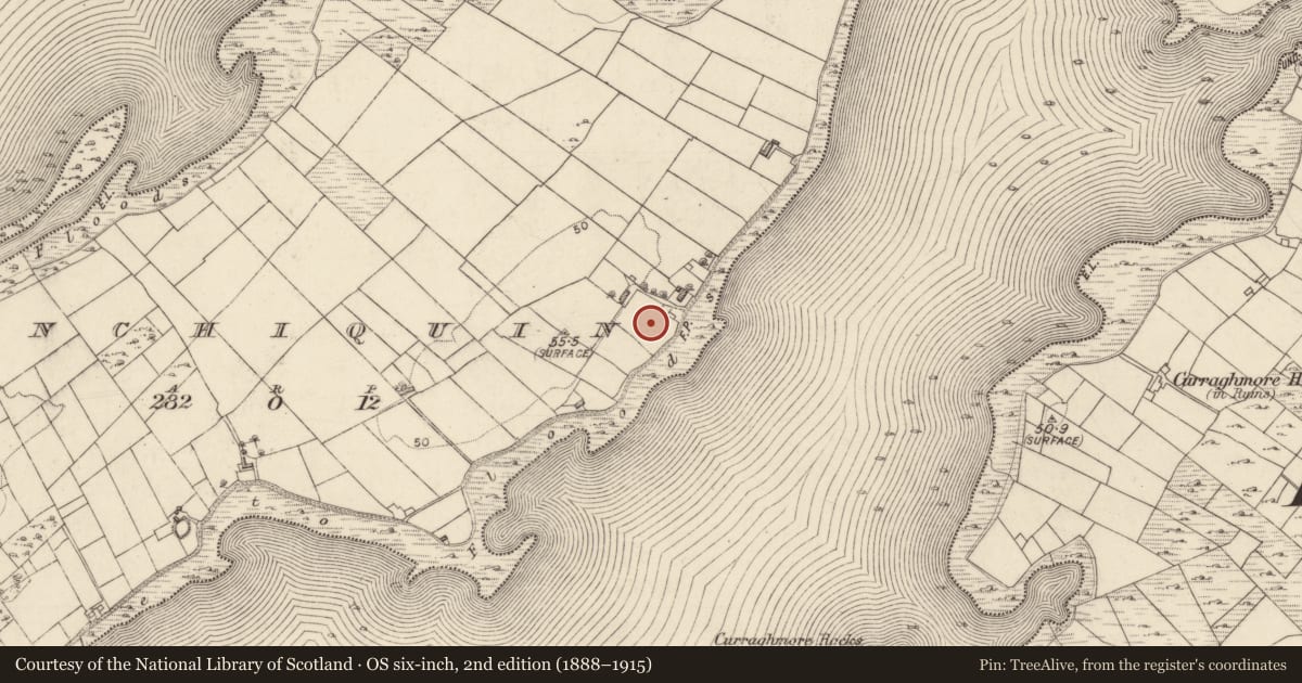 Ordnance Survey six-inch map, 2nd edition (1888–1915) covering the location of Burial ground, Inchiquin, County Galway, with a pin at the register's coordinates