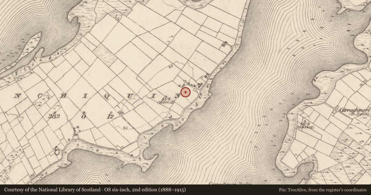 Ordnance Survey six-inch map, 2nd edition (1888–1915) covering the location of Church, Inchiquin, County Galway, with a pin at the register's coordinates