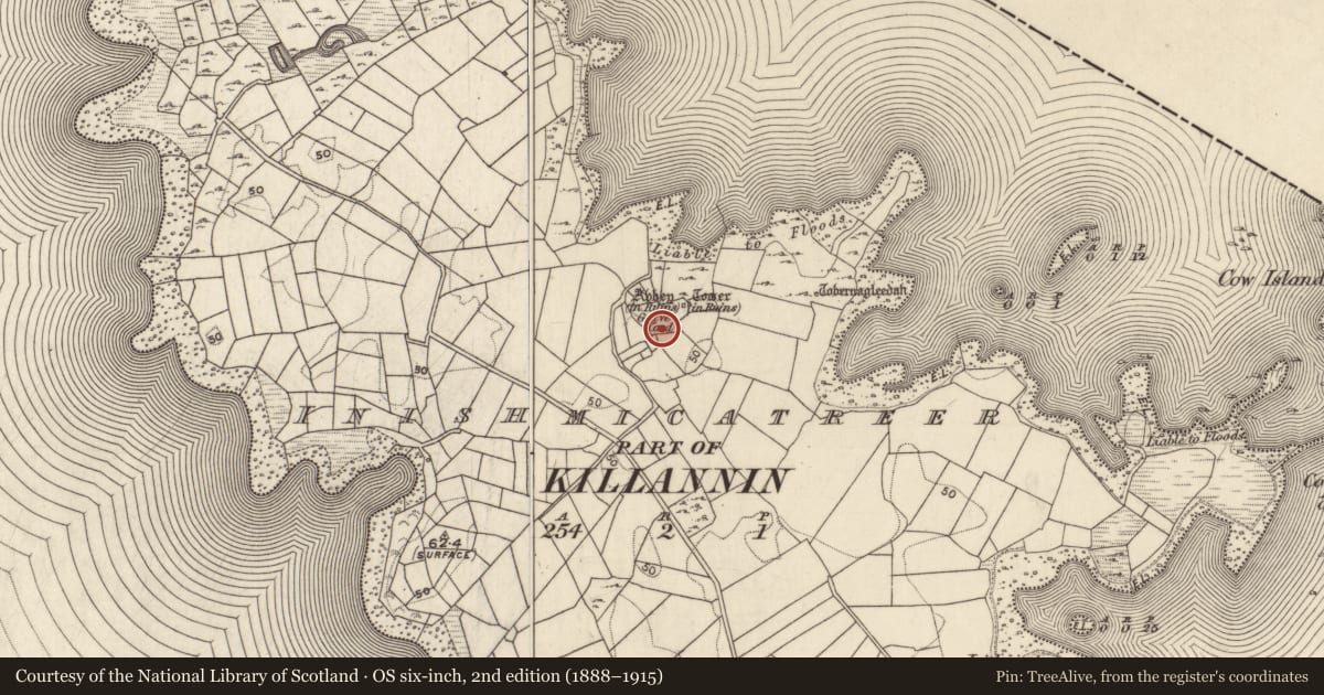 Ordnance Survey six-inch map, 2nd edition (1888–1915) covering the location of Ecclesiastical enclosure, Inis Mhic An Trír, County Galway, with a pin at the register's coordinates
