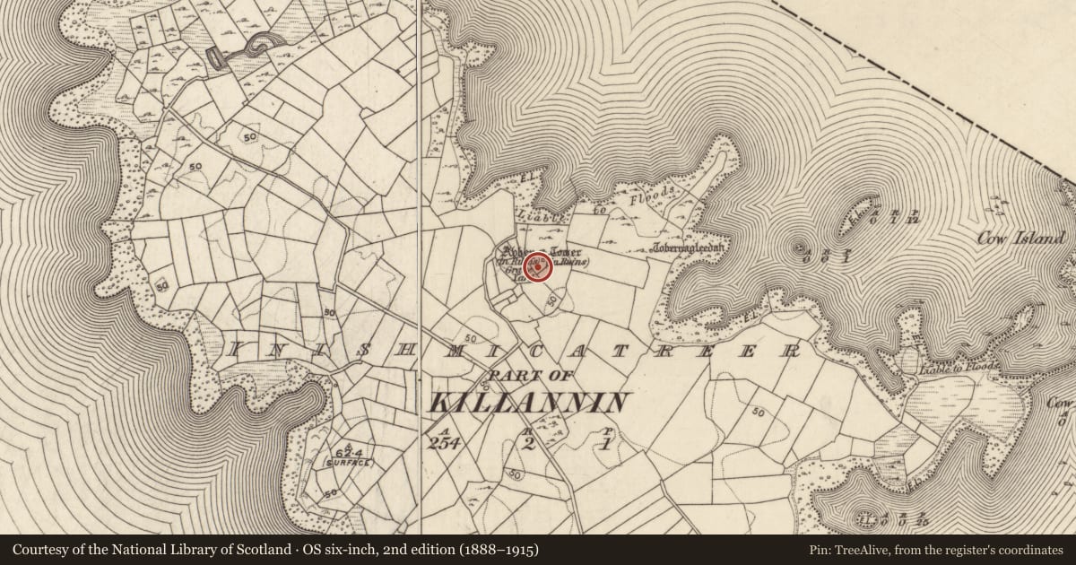 Ordnance Survey six-inch map, 2nd edition (1888–1915) covering the location of Children's burial ground, Inis Mhic An Trír, County Galway, with a pin at the register's coordinates