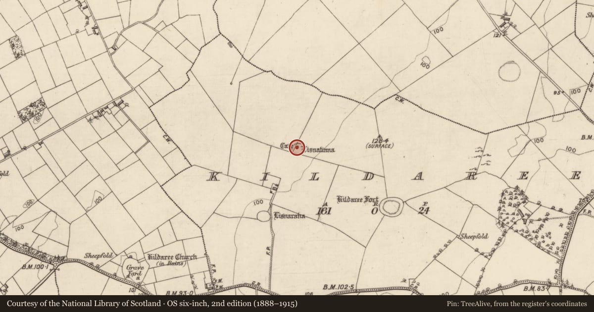 Ordnance Survey six-inch map, 2nd edition (1888–1915) covering the location of Souterrain, Kildaree, County Galway, with a pin at the register's coordinates
