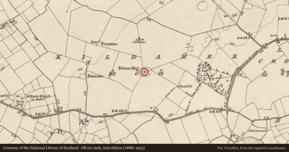 Ordnance Survey six-inch map, 2nd edition (1888–1915) covering the location of Ringfort - rath, Kildaree, County Galway, with a pin at the register's coordinates