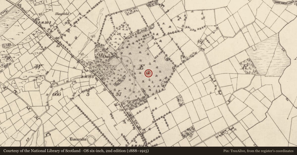 Ordnance Survey six-inch map, 2nd edition (1888–1915) covering the location of Designed landscape feature, Ower, County Galway, with a pin at the register's coordinates