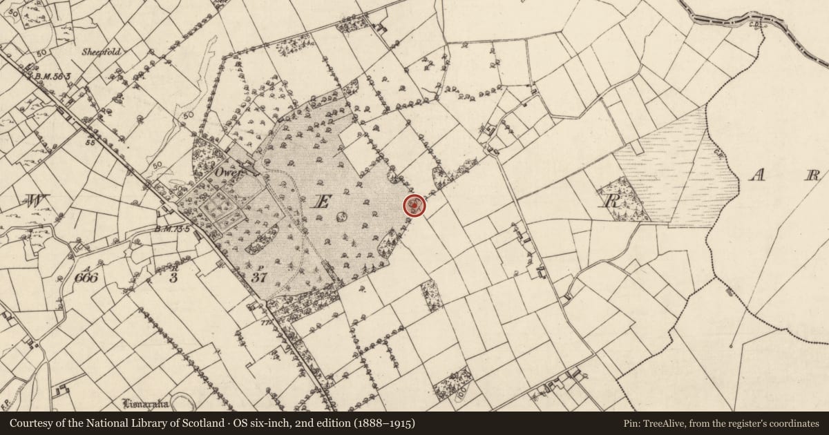 Ordnance Survey six-inch map, 2nd edition (1888–1915) covering the location of Cairn - clearance cairn, Ower, County Galway, with a pin at the register's coordinates